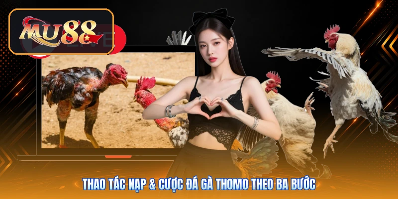 Thao tác nạp & cược đá gà Thomo theo ba bước