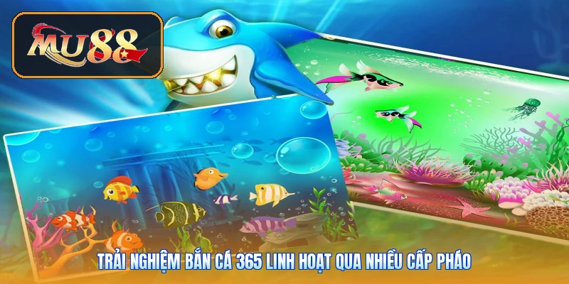 Trải nghiệm bắn cá 365 linh hoạt qua nhiều cấp pháo