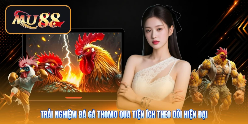 Trải nghiệm đá gà Thomo qua tiện ích theo dõi hiện đại